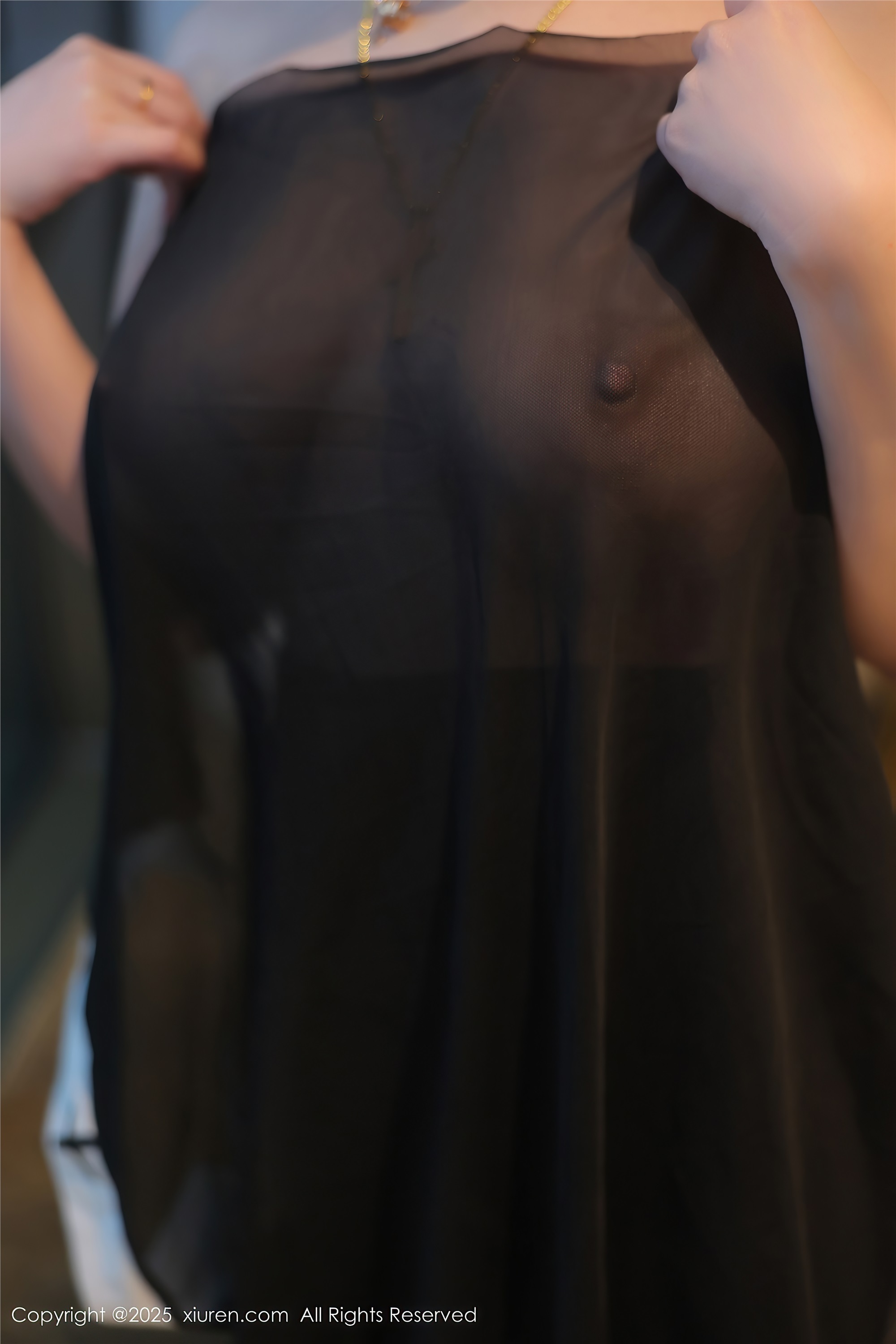 Xiuren秀人网 2025.02.13 NO.9878 可可芝